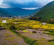 chitlang-n